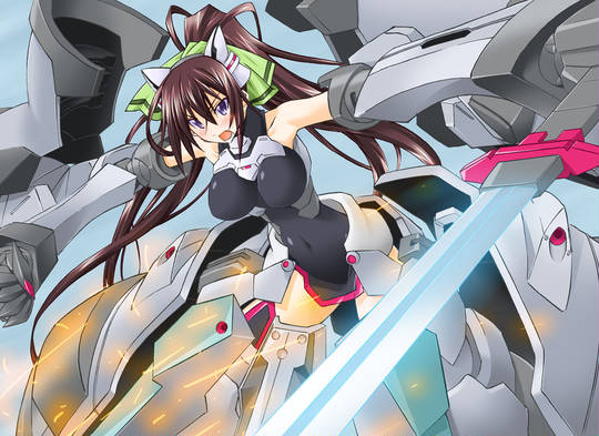 インフィニット ストラトス 兵器 いんふぃにっとすとらとす とは ピクシブ百科事典