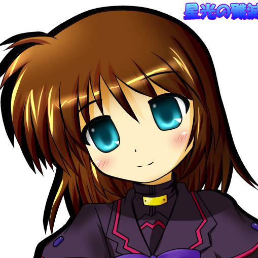 シュテル ザ デストラクター しゅてるざですとらくたー とは ピクシブ百科事典