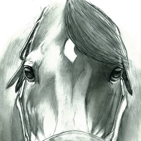 シンボリルドルフ しんぼりるどるふ とは ピクシブ百科事典