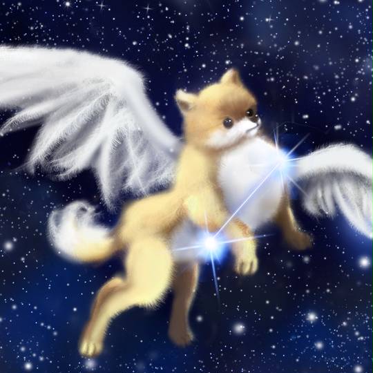 プロキオン ぷろきおん とは ピクシブ百科事典