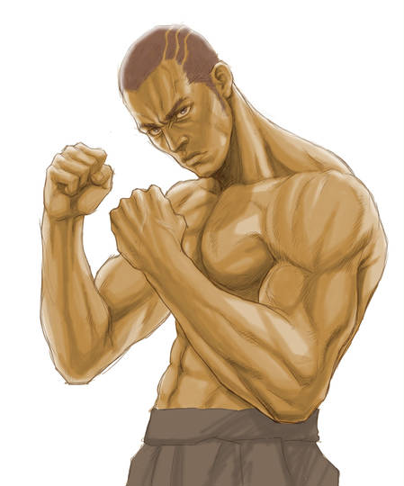 格闘家 かくとうか とは ピクシブ百科事典