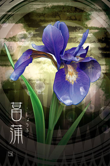 菖蒲 あやめ とは ピクシブ百科事典