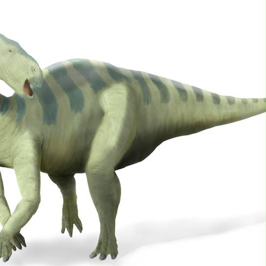 イグアノドン いぐあのどん とは ピクシブ百科事典