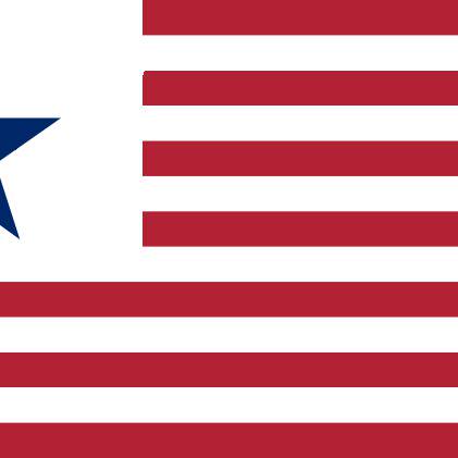 リベリオン合衆国 りべりおんがっしゅうこく とは ピクシブ百科事典