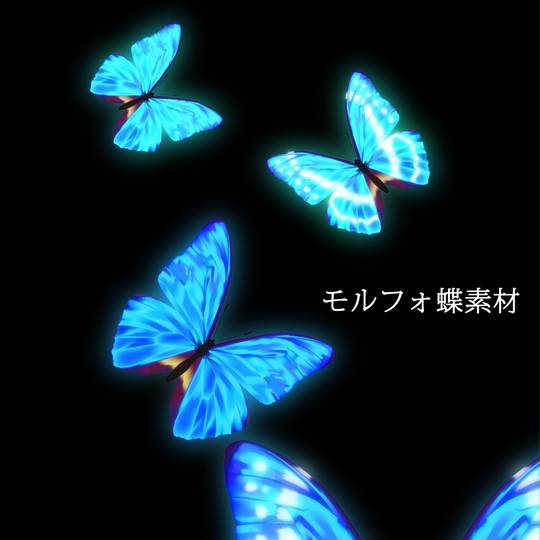 モルフォ蝶 もるふぉちょう とは ピクシブ百科事典