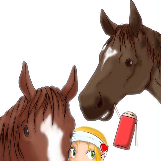 【希少！】社台ファーム スタリオンブック 1992 競走馬 種牡馬 カタログ 希少！】社台ファーム スタリオンブック 1992 競走馬 種牡馬