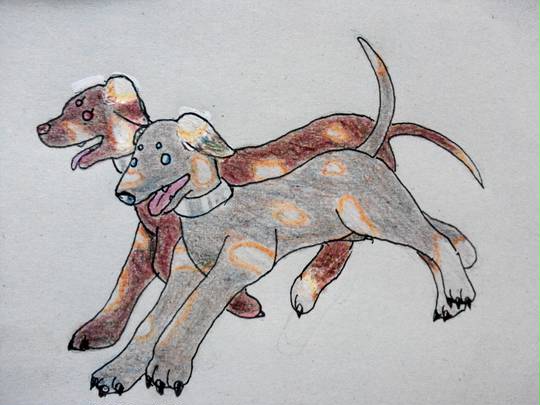 サーラメーヤ さーらめーや とは ピクシブ百科事典