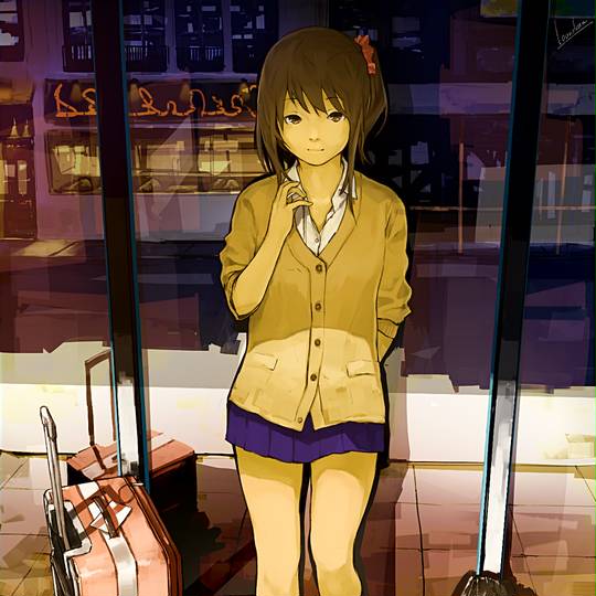 キャリーバッグ きゃりーばっぐ とは ピクシブ百科事典