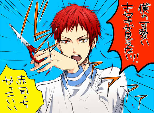 安定の赤司様 あんていのあかしさま とは ピクシブ百科事典