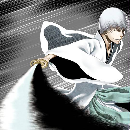 神鎗 斬魄刀 しんそう とは ピクシブ百科事典