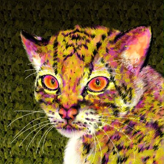 ヤマネコ やまねこ とは ピクシブ百科事典