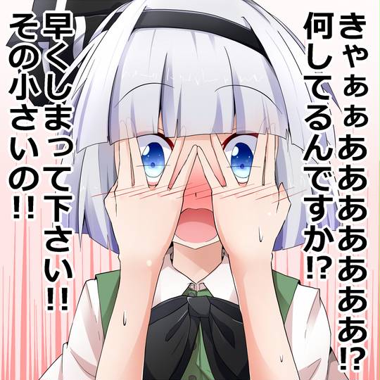 二次元　短小 短小 (たんしょう)とは【ピクシブ百科事典】