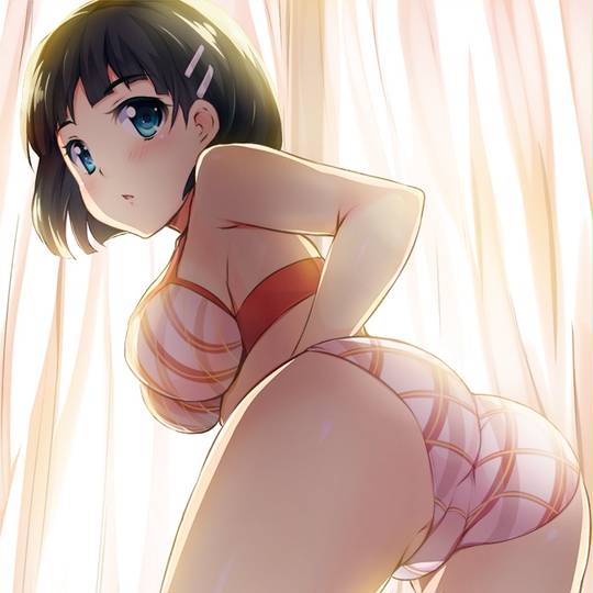 下着姿 したぎすがた とは ピクシブ百科事典