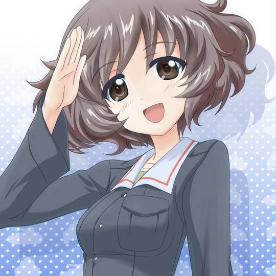 秋山殿 あきやまどの とは ピクシブ百科事典