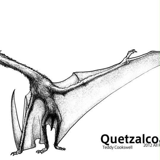 翼指竜類 よくしりゅうるい とは ピクシブ百科事典