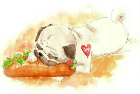 アポ あぽ とは ピクシブ百科事典