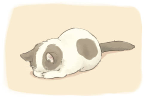 ごめん寝 ごめんね とは ピクシブ百科事典