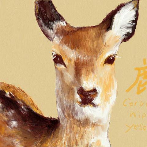 鹿 しか とは ピクシブ百科事典