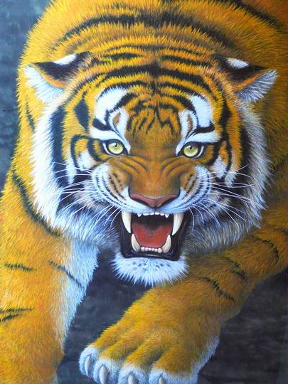 虎耳状斑 こじじょうはん とは ピクシブ百科事典