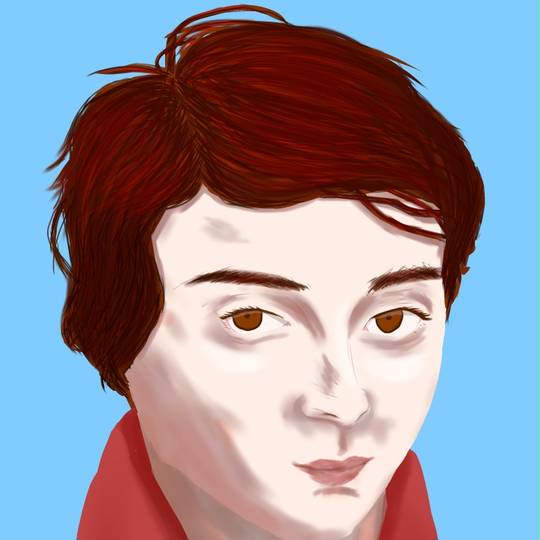 ガロア がろあ とは ピクシブ百科事典