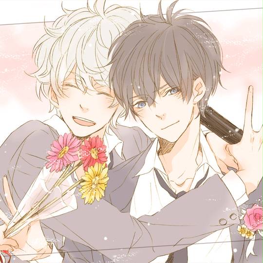 DKS銀土 (でぃーけーえす)とは【ピクシブ百科事典】