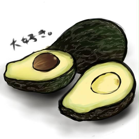 アボカド あぼかど とは ピクシブ百科事典