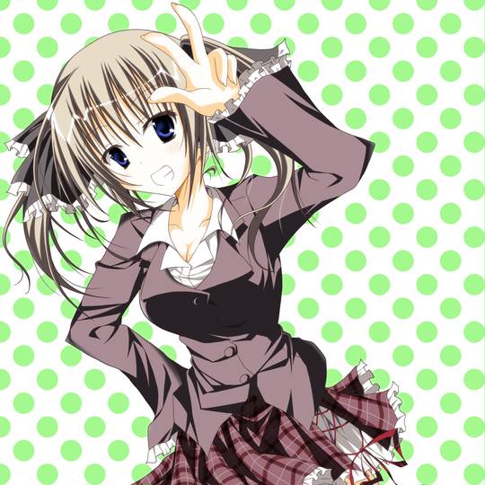 きゃらスリーブコレクション 生徒会の一存 Lv.2 椎名深夏 (No.143) khxv5rg 未開封！ブシロードスリーブコレクション生徒会の一存「椎名深夏