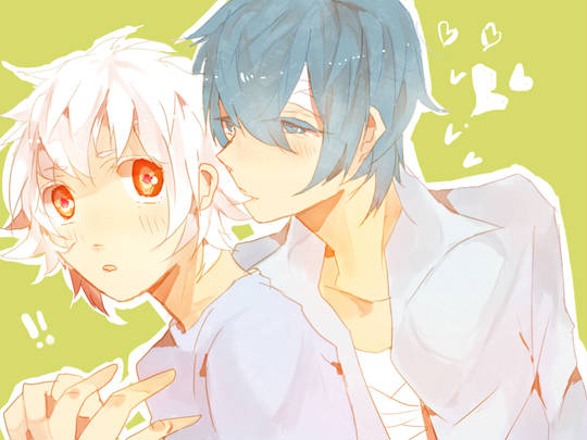 嘉无 かない とは ピクシブ百科事典