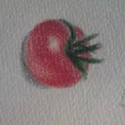 プチトマト ぷちとまと とは ピクシブ百科事典