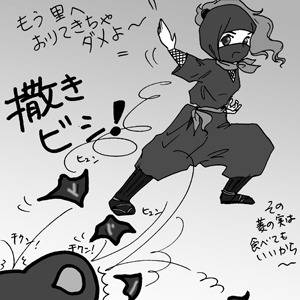 撒きビシ まきびし とは ピクシブ百科事典