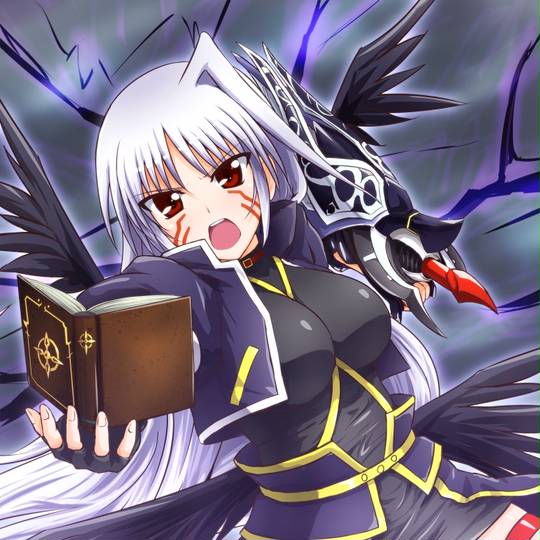 ナハトヴァール なはとゔぁーる とは ピクシブ百科事典