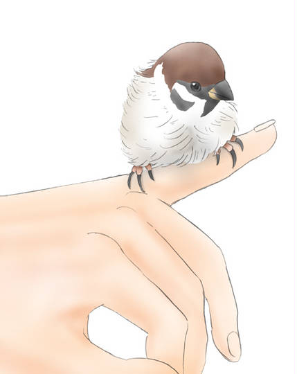 すずめ すずめ とは ピクシブ百科事典