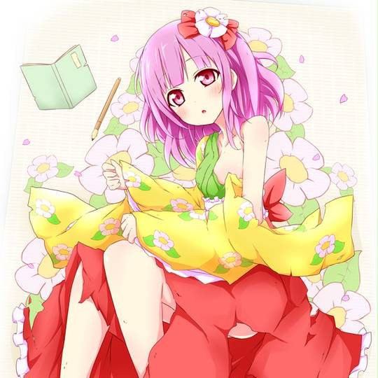 はだけ阿求 はだけあきゅう とは ピクシブ百科事典