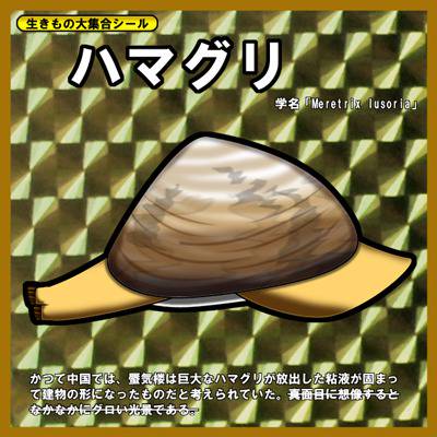 二枚貝 にまいがい とは ピクシブ百科事典 二枚貝 にまいがい とは ピクシブ百科事典