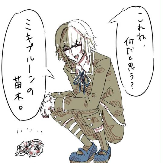 ミキプルーンの苗木 みきぷるーんのなえぎ とは ピクシブ百科事典