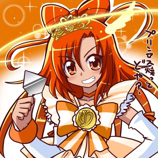 プリンセスサニー ぷりんせすさにー とは ピクシブ百科事典