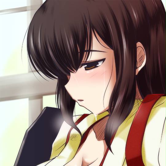 赤城 艦これ あかぎ とは ピクシブ百科事典