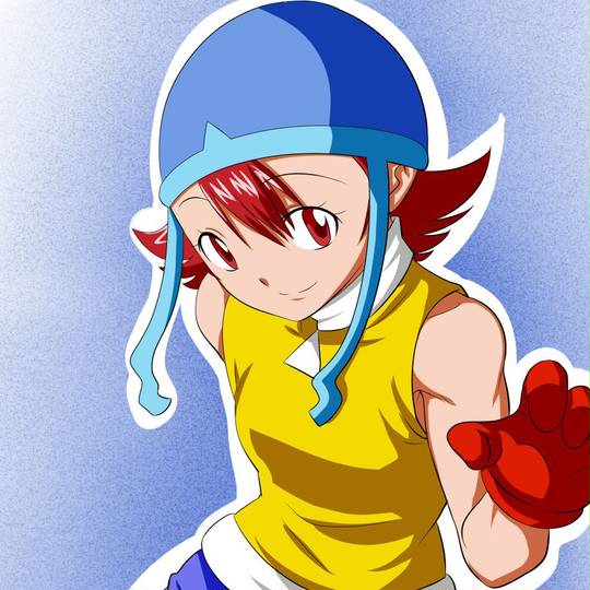 八神太一 武之内空 太空 紋章 デジモン デジモンアドベンジャー