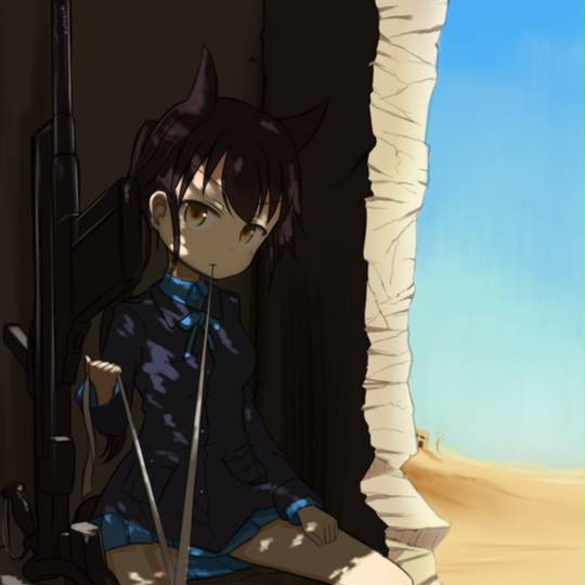 サラス さらす とは ピクシブ百科事典