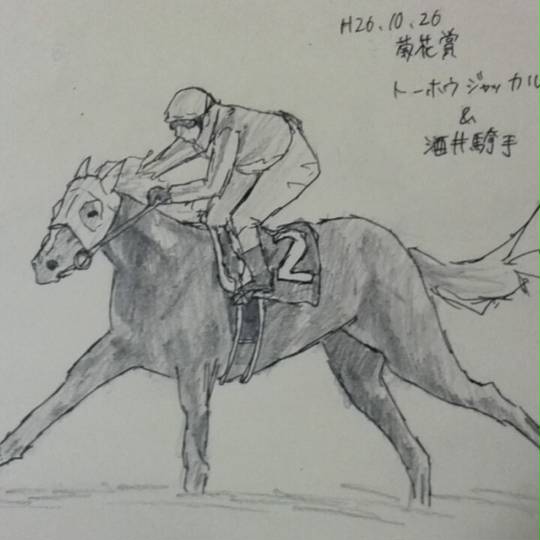 トーホウジャッカル (とーほうじゃっかる)とは【ピクシブ百科事典】