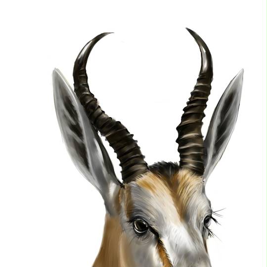 羚羊 (れいよう)とは【ピクシブ百科事典】