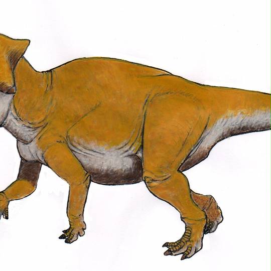 恐竜キング 目覚めよ新たなる力 第6紀 ウダノケラトプス