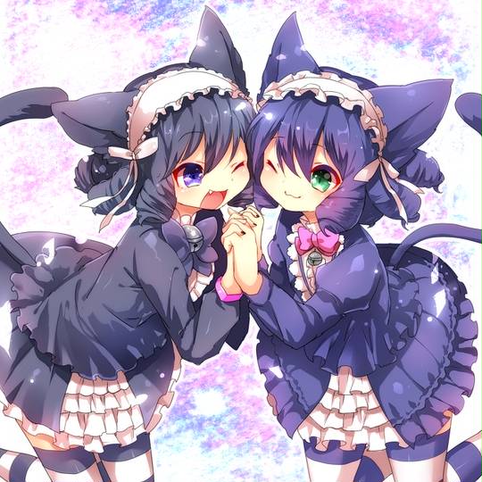 同一CP (どういつかっぷりんぐ)とは【ピクシブ百科事典】