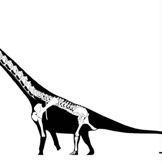 エウヘロプス ゆーへろぷす とは ピクシブ百科事典