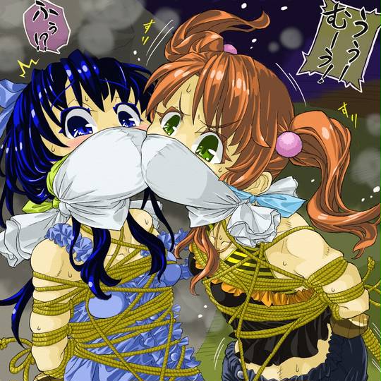 鼻上被せ猿轡 はなうえかぶせさるぐつわ とは ピクシブ百科事典