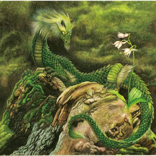 螭龍(ちりゅう) 螭龍 (ちりゅう)とは【ピクシブ百科事典】