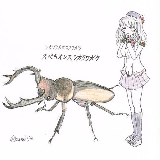 スペキオシスシカクワガタ (すぺきおしすしかくわがた)とは【ピクシブ