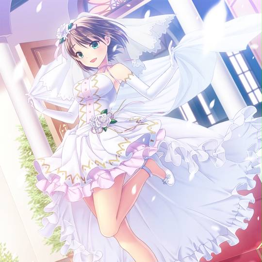 ウェディングドレス うぇでぃんぐどれす とは ピクシブ百科事典