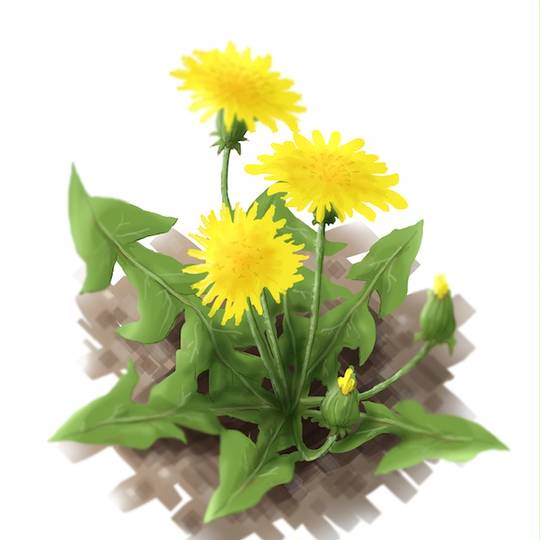 タンポポ亜科 (たんぽぽあか)とは【ピクシブ百科事典】