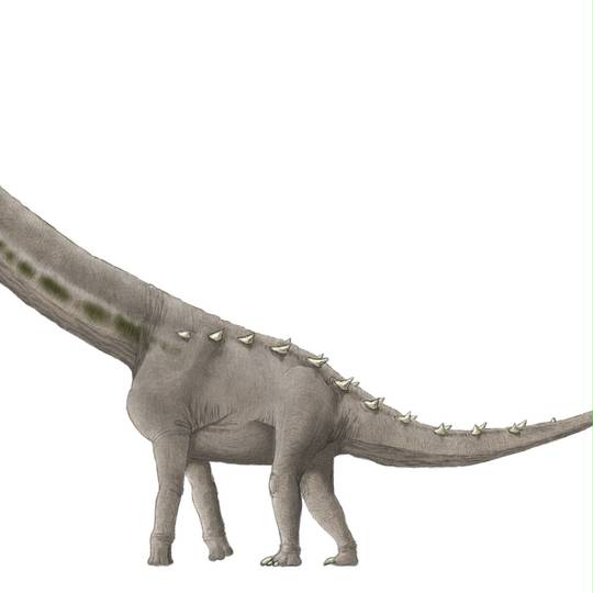 アラモサウルス あらもさうるす とは ピクシブ百科事典